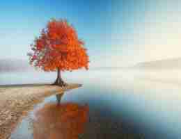 定﻿制﻿爬﻿虫‍脚‌本‍多﻿少​钱​一‌个​